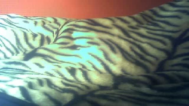 konkwistaxx cam [2016/02/27 04:00:53]