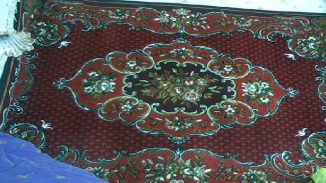 savodnoi adult [2015/11/26 11:30:28]