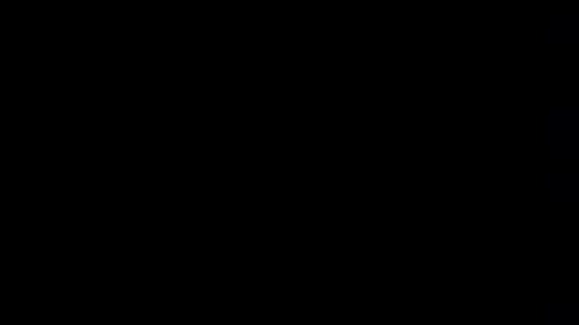 koimbra86