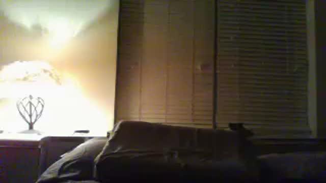 deedeefun15