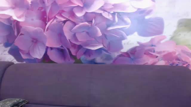 salma_Hot porno [2016/10/24 00:45:27]