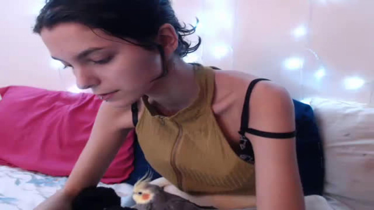 joeeatscake [2018-06-24 00:20:54]