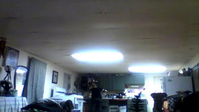 mrs_chelsea download [2016/12/21 21:30:27]