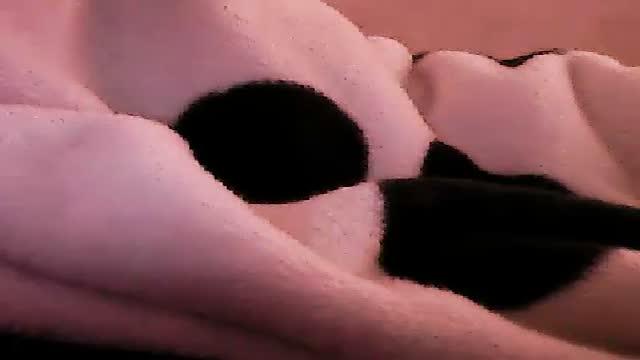 leviatanhot video [2016/03/25 12:30:26]