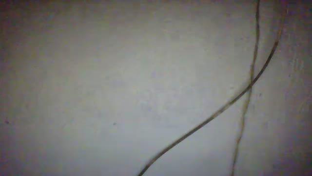 cafeta22 recorded [2016/04/03 05:20:22]
