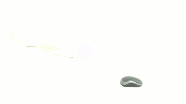 xHOTSPICEx sex [2016/05/17 21:11:01]