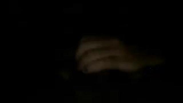 troppo2 adult [2016/10/25 01:55:27]