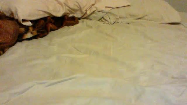 LesliStar recorded [2016/09/15 16:10:52]