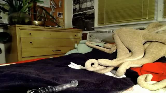 doxie webcam [2016/01/14 01:51:37]