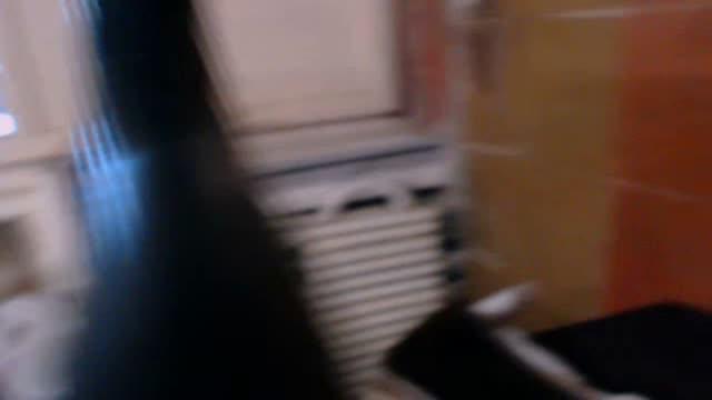 CrazyBee_ cam [2016/02/27 14:17:44]