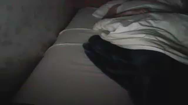 alex555222 video [2015/12/10 23:33:22]