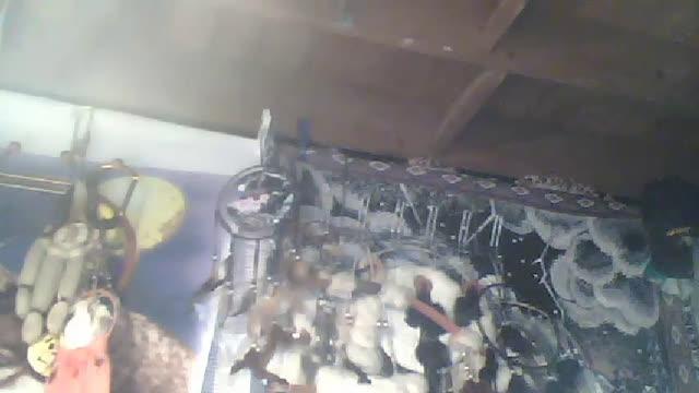 markpabearz naked [2016/10/03 02:15:26]