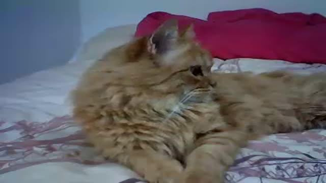 princesalolita naked [2016/01/28 04:12:15]
