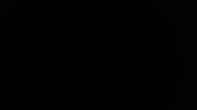 DontDanger download [2015/11/23 10:16:22]