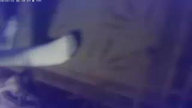 elcajonsub adult [2016/10/22 10:40:26]