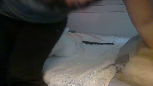 itaniee cam [2016/02/22 12:59:34]