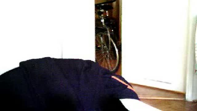 animatorkultury2 video [2015/11/15 11:01:06]