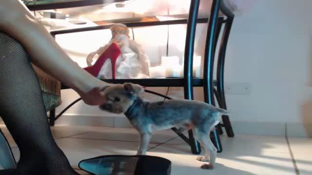 footalicious video [2015/11/28 01:02:52]