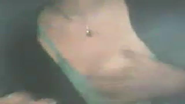 lorelei_69 video [2015/11/01 08:00:27]