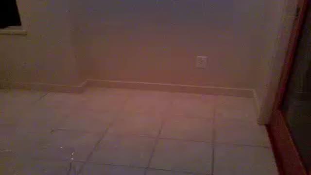 asiansensation911 adult [2016/01/18 11:36:43]
