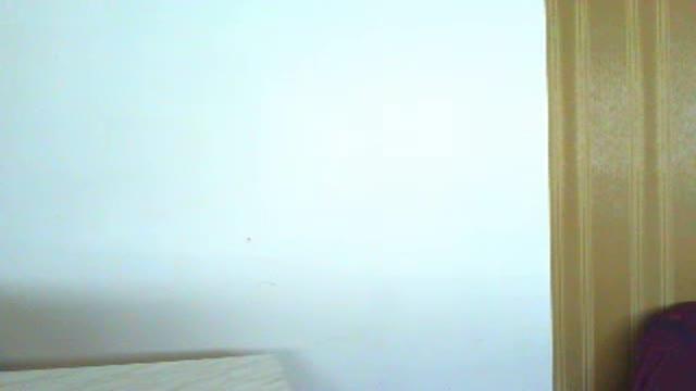 Viannorra webcam [2015/08/15 18:00:53]