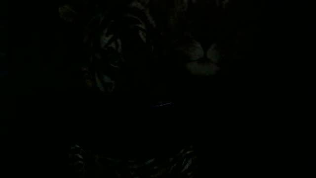 deizeri porno [2015/10/31 14:30:42]