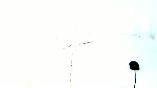 xALISA video [2016/07/10 19:15:28]