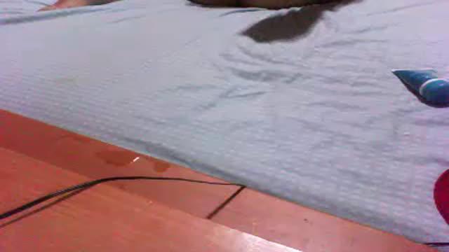 100preplacer adult [2016/10/22 05:20:53]