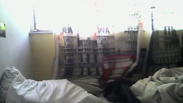 lago901 adult [2016/03/27 18:00:27]