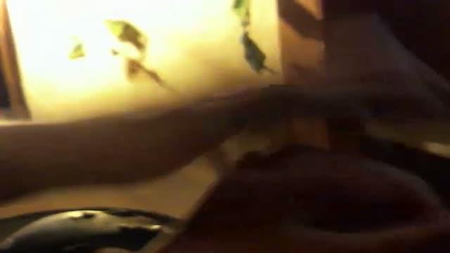 Russialovedance recorded [2015/08/01 03:32:19]