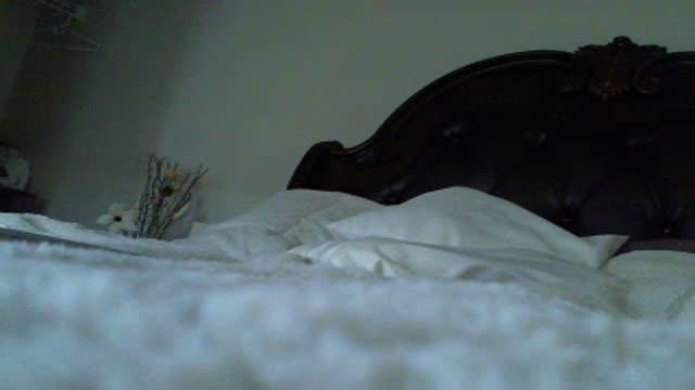 TiaTease91 webcam [2016/02/09 23:01:51]