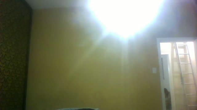 loganxtreme porno [2015/11/04 02:45:27]