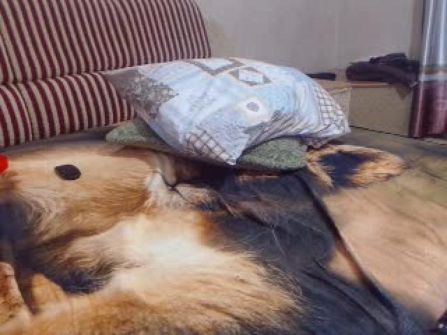 SexyLINDA_ recorded [2016/07/22 12:42:01]