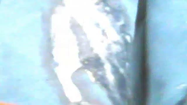 typhoon56 webcam [2015/07/18 14:30:28]