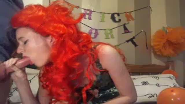 honey_suckle webcam [2015/11/01 01:37:53]