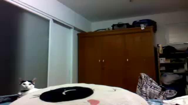 miao_sexy18