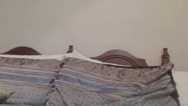 milfyamber xxx [2015/08/08 03:30:49]