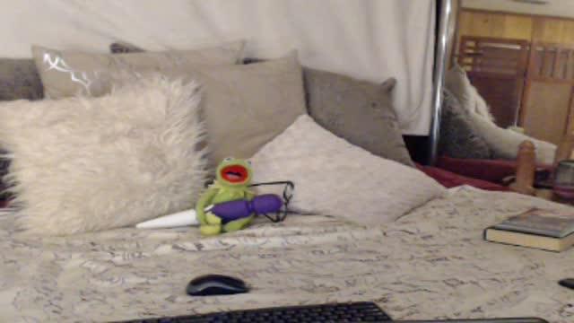 Miss_Trixie webcam [2016/07/14 02:00:54]