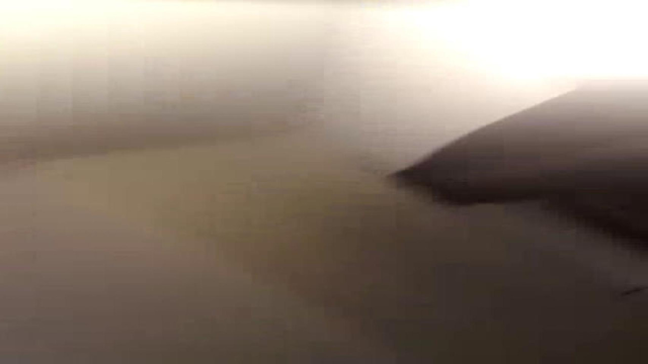 ChubbyMeow [2017-11-12 19:26:18]
