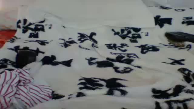 sexysaira download [2015/08/20 14:01:02]