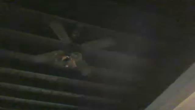 mamabunz cam [2016/03/28 19:16:15]