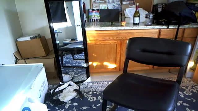 emeraldjones adult [2017/02/15 23:56:24]