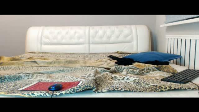 Dolly18 video [2016/01/21 14:01:07]