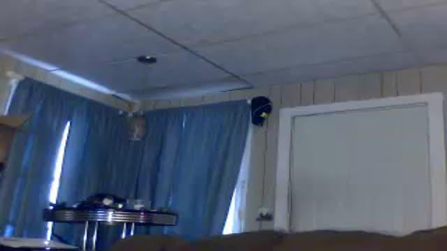 tannermayes1 adult [2015/08/31 11:30:29]