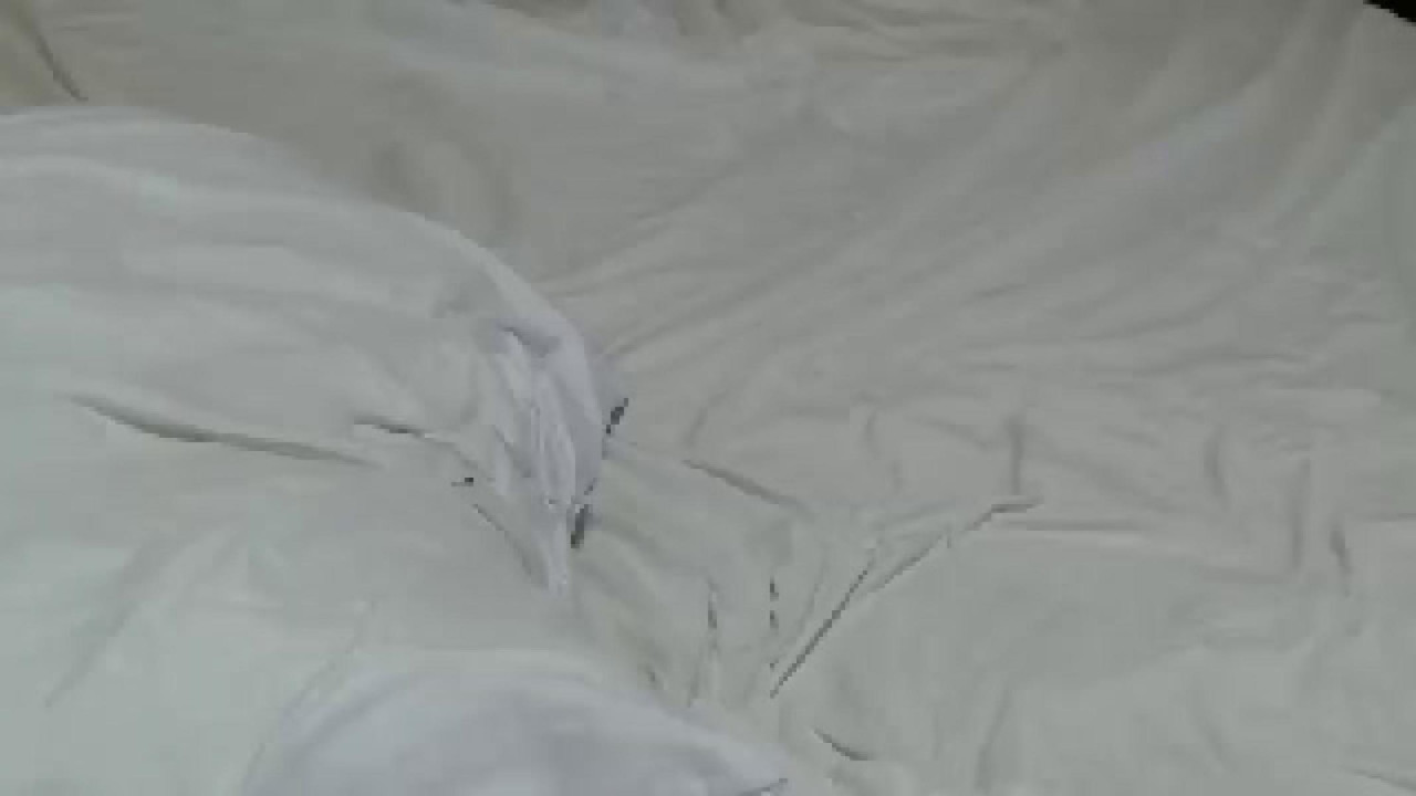 Dylan_Arbor [2018-05-18 15:21:23]