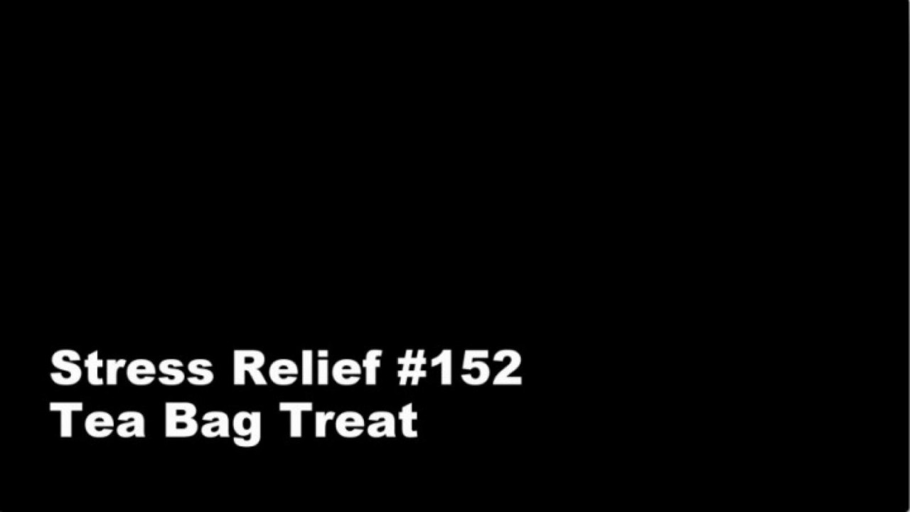 stress_relief cam sex release [2021/12/19]