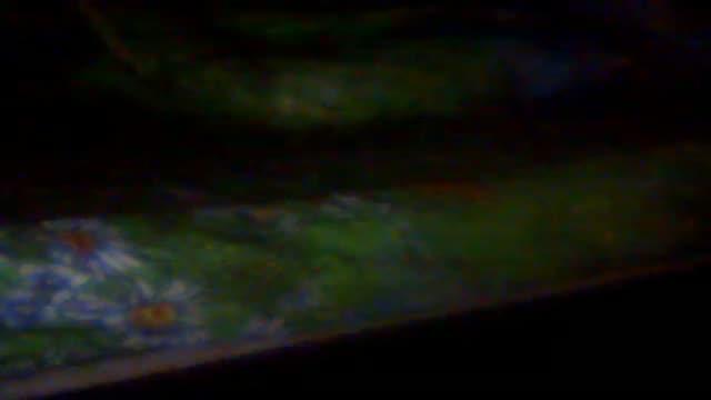 LoveFamyli webcam [2015/11/19 22:01:07]
