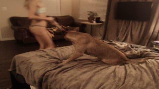 minxii sex [2016/04/29 05:31:46]