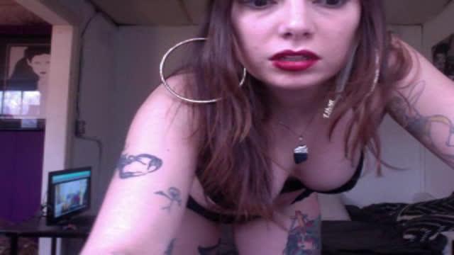 yrkittenbb
