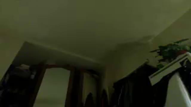 wetcore video [2016/10/28 03:50:29]